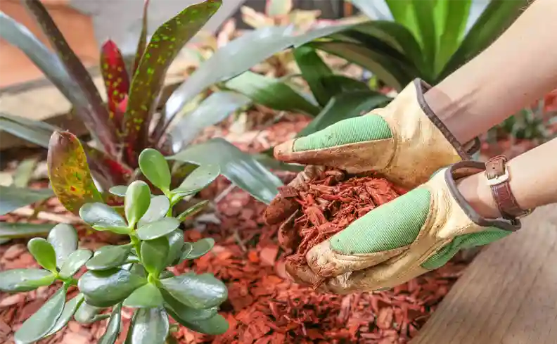 Person wearing gloves and putting woodchips in a garden bed