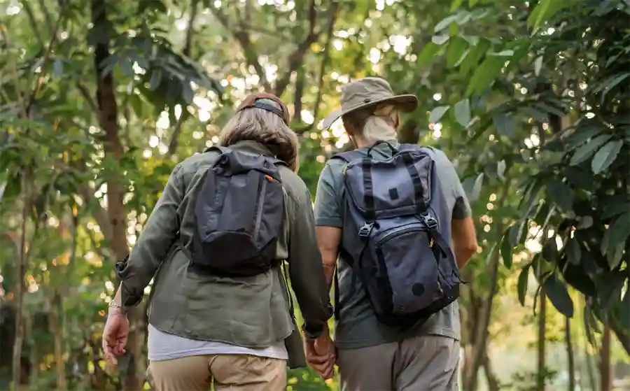 People holding hands and going for walk in the bush wearing hats and backpacks